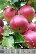 easyFocus 스크린샷 2