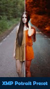 پوستر Filterly: Preset For Lightroom