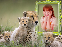 Picture Frame ポスター