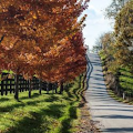 Beautiful Fall Wallpapers 4K