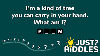 برنامه‌نما Just Riddles عکس از صفحه