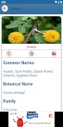 Herbs Directory 截圖 2