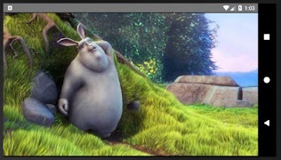 AJ Player ภาพหน้าจอ 2