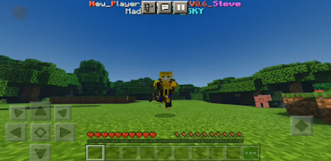 Player Animation MOD for MCPE screenshot 2