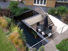 Fish Pond screenshot 2