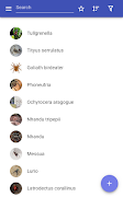 Spiders স্ক্রিনশট 5