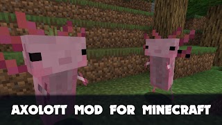 Axolotl Mod for Minecraft PE screenshot 7