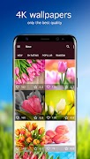 Tulip Wallpapers PRO poster