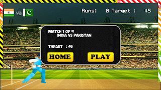 Blokstok Cricket screenshot 6