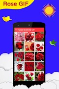 Rose GIF โปสเตอร์