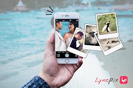 Lyncpix Plakat