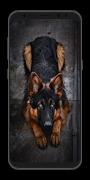 German Shepherd Wallpaper-Live screenshot 5