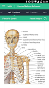 برنامه‌نما Human Skeleton Reference Guide عکس از صفحه