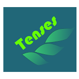 ”Tipe Tenses Inggris