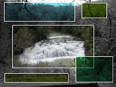 Perspective captura de pantalla 5