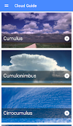 Field Guide to Clouds plakat