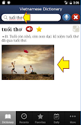 Vietnamese Dictionary Pro Screenshot 5
