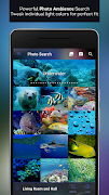 hueDynamic for Philips Hue تصوير الشاشة 5