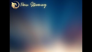 FenixMulti اسکرین شاٹ 3