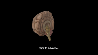 BrainVR اسکرین شاٹ 2