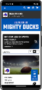 Ticket Spicket screenshot 1