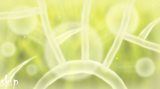 Doonaminula screenshot 1