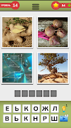 4 Фотки 1 Слово - 2022 screenshot 3