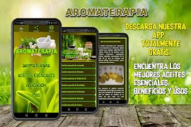 🍃 Aromaterapia 🍃 - Aceites Esenciales 🍵 penulis hantaran