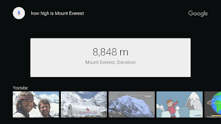 Google app for Android TV 截圖 2