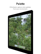 Palette الملصق