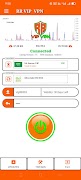 RR Vip VPN plakat