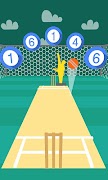 Cricket Practice ภาพหน้าจอ 2