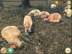 Capybara Zoo स्क्रीनशॉट 7