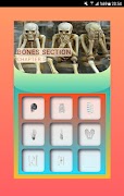 Anatomy Quiz ảnh chụp màn hình 1