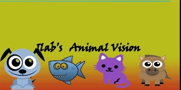 Animal Vision Simulator 포스터