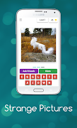 Strange Pictures gönderen