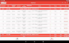 DataView screenshot 4