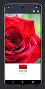 ColorScan الملصق