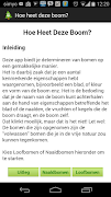 Hoe heet deze boom? poster