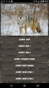 Coyote hunting calls تصوير الشاشة 5