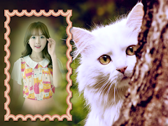 Picture Frame 스크린샷 1