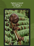 NZ Trees 스크린샷 7