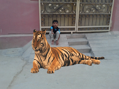 Animals Camera Frames syot layar 4