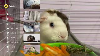 Petpick ภาพหน้าจอ 7