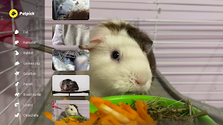 Petpick screenshot 7