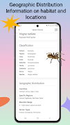 Spider identifier screenshot 5