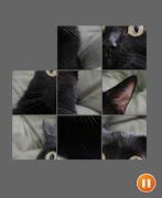 Cat Face Puzzle 截图 4