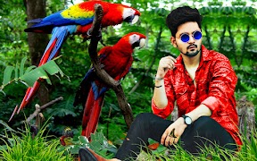 Parrot photo editor bird frame Ekran Görüntüsü 1