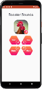 Rooster Sounds screenshot 1