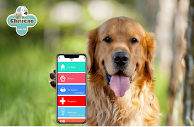 Clinicão ภาพหน้าจอ 4